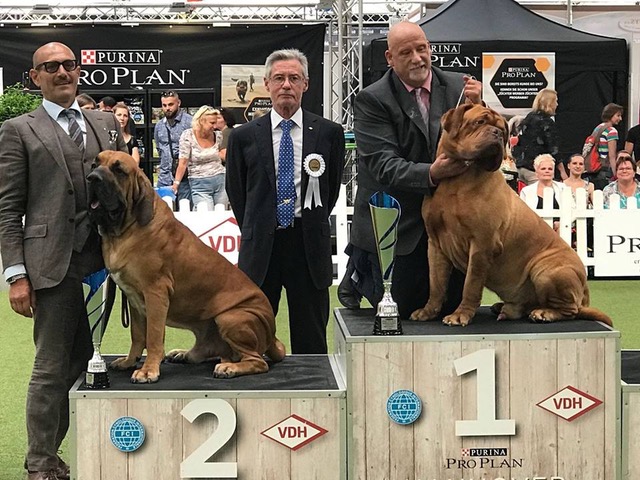 36410197_2131239010280806_1320547584179175424_n 36410197_2131239010280806_1320547584179175424_n
