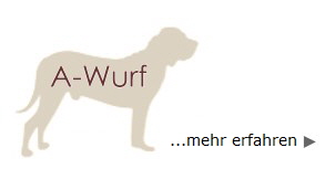 A Wurf - mehr erfahren -